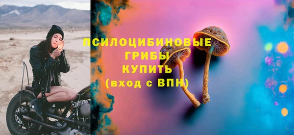 прущие грибы Балахна