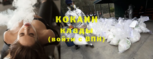прущие грибы Баксан