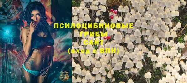 соль ск Балабаново