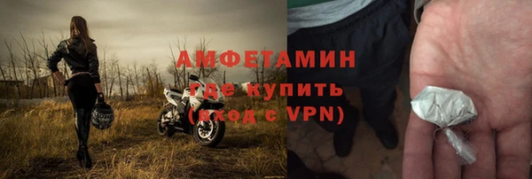 прущие грибы Балахна