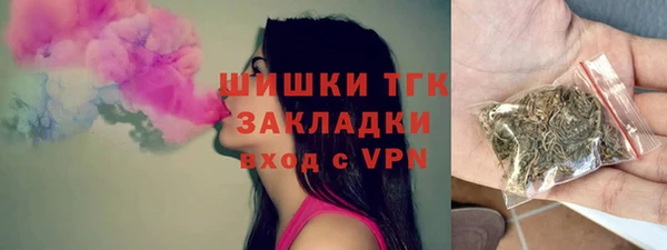 прущие грибы Балахна