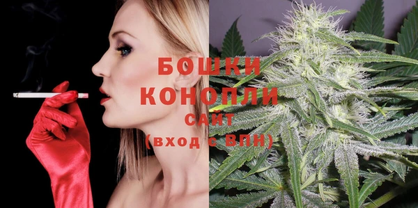 прущие грибы Баксан