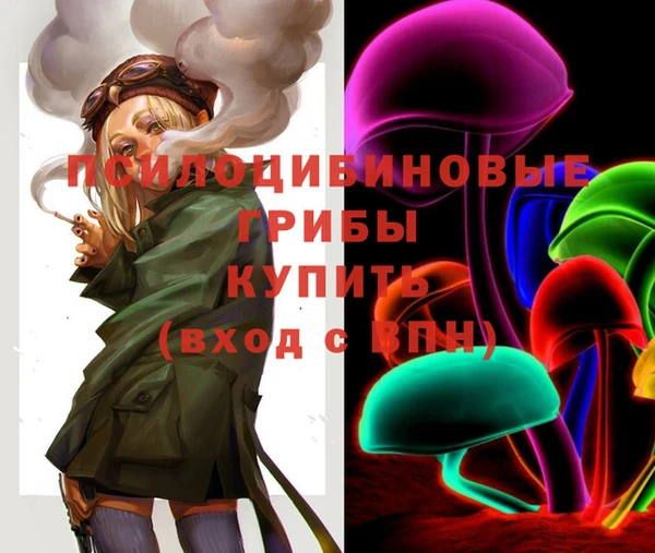 соль ск Балабаново