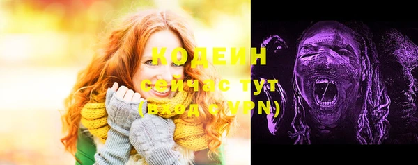 прущие грибы Балахна